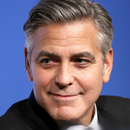 Interpolate start reference image.