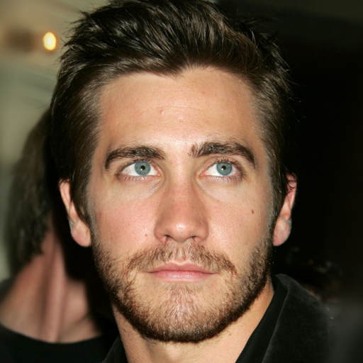 Interpolate start reference image.