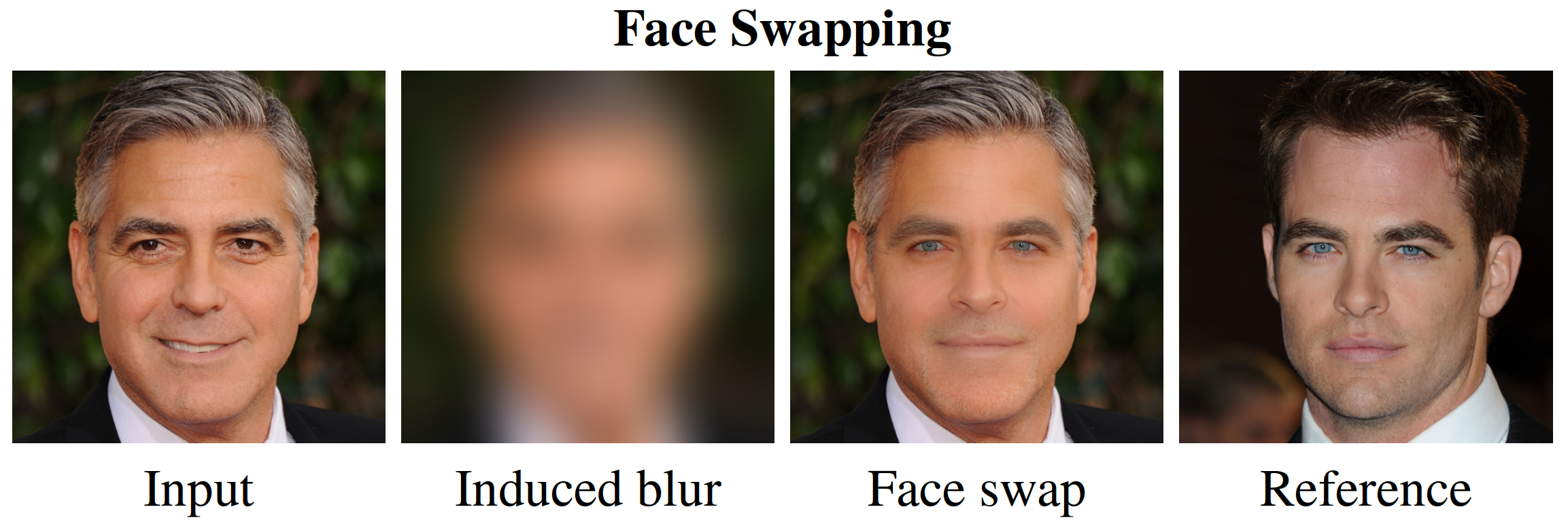 Interpolate start reference image.